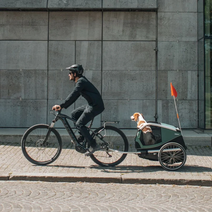 Remorque Vélo pour chien Thule Bexey M – Image 3